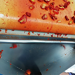 Food items passing through a magnetic separation system to ensure product purity and safety.