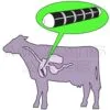 Cow Magnets for preventing hardware disease in cattle.