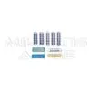 Cow Magnets - Cylindrical shape for easy ingestion.